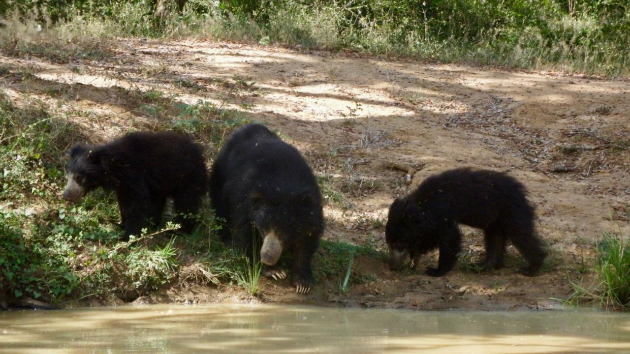 Villa Kele Parque nacional Yala Exterior foto